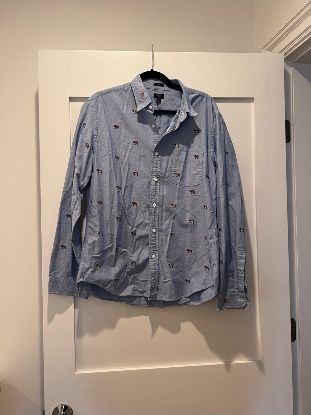 Men's Light Blue Embroidered Button-Down Shirt